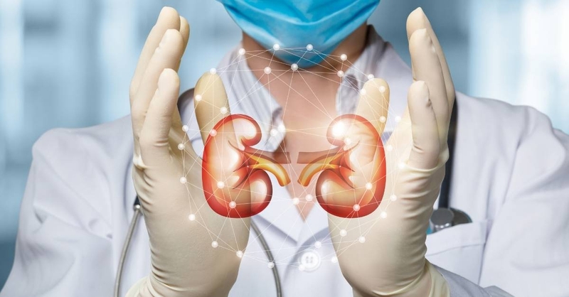 Cây cỏ mực mọc ở đâu và có đặc điểm gì 3