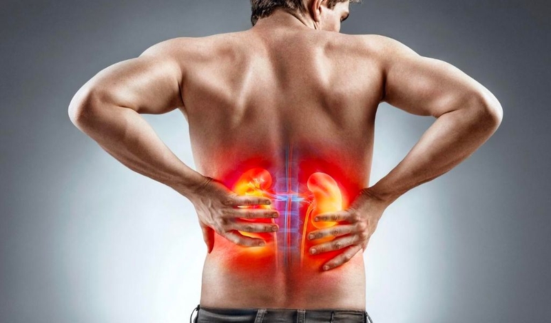 Cây cỏ xước chữa sỏi thận có tốt không? Đối tượng nào có thể sử dụng 3