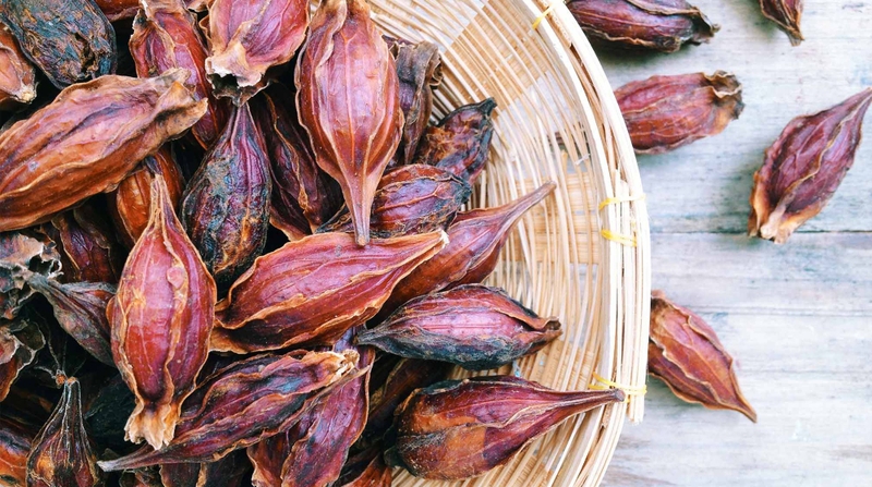 Cây dành dành: Tác dụng theo y học cổ truyền và y học hiện đại 3