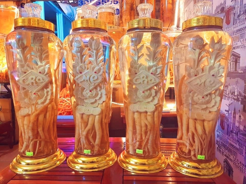 Cây đinh lăng chữa rối loạn tiền đình - Mẹo hay chữa bệnh! 3