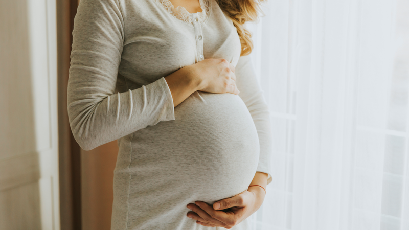 Phụ nữ có thai không nên sử dụng cây đuôi chuột hoa tím do chưa có đủ nghiên cứu về tính an toàn