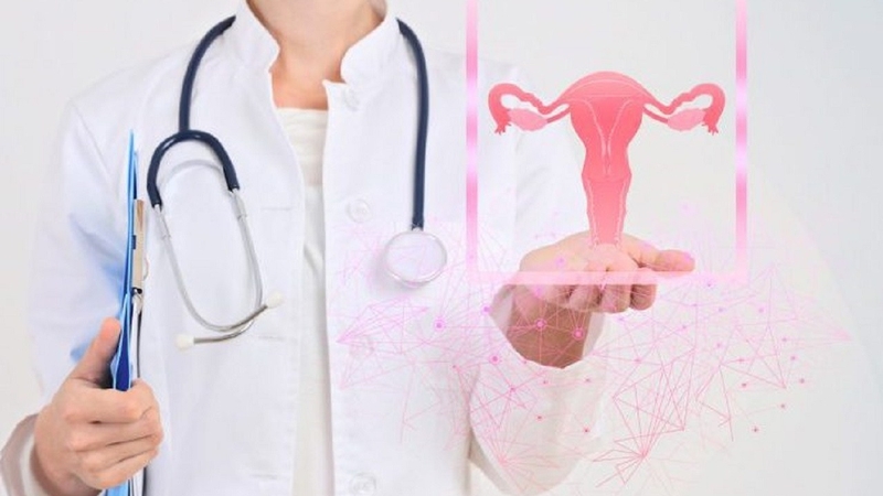 Cấy ghép tử cung là một bước tiến vượt bậc trong y học 3