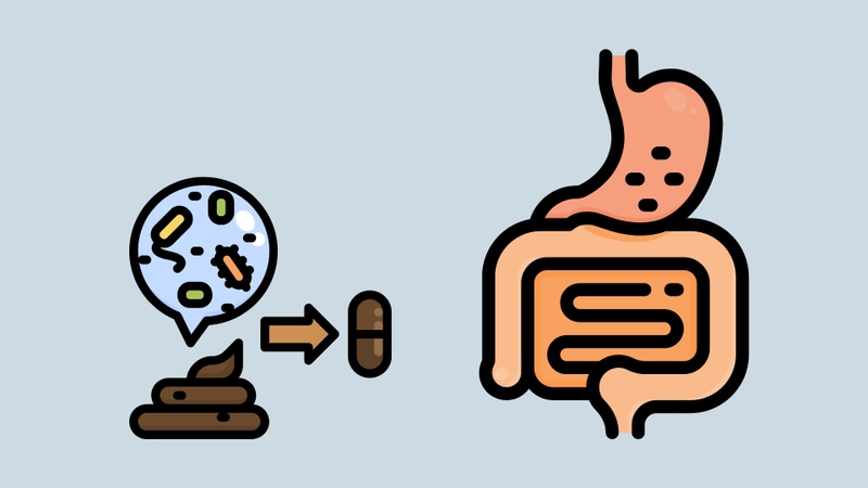 Cấy ghép vi khuẩn đường ruột là gì? Những điều cần biết về phương pháp này