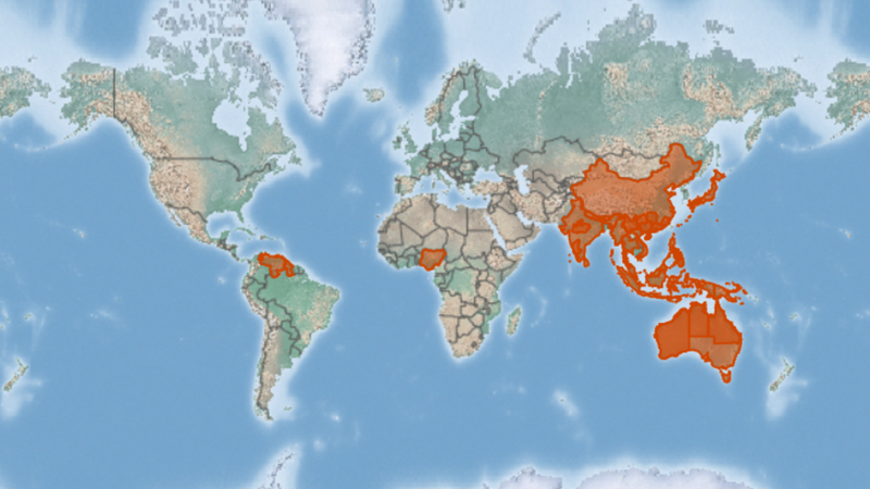 cay-hai-trung-kim-vi-thuoc-dan-gian-la-ma-quen 2.png