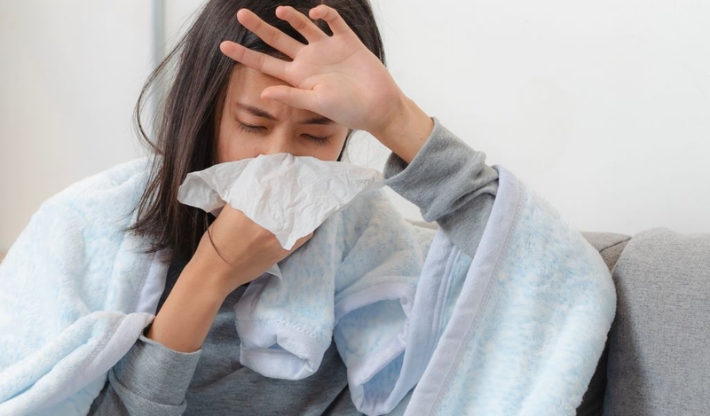 Cây hoàng đàn là gì? Có công dụng chữa bệnh như thế nào? 2