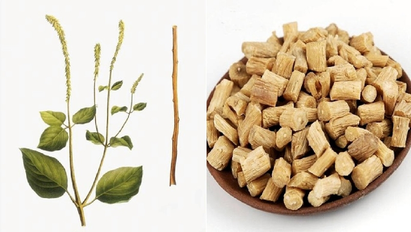 cay-huyet-giac-madagascar-co-tac-dung-gi 2