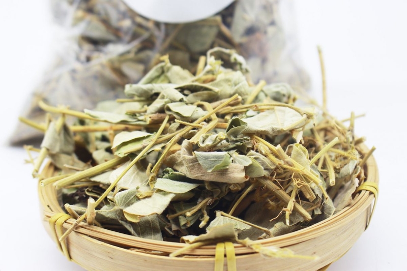 Cây kim tiền thảo có mấy loại? Lợi ích và tác hại của kim tiền thảo 2