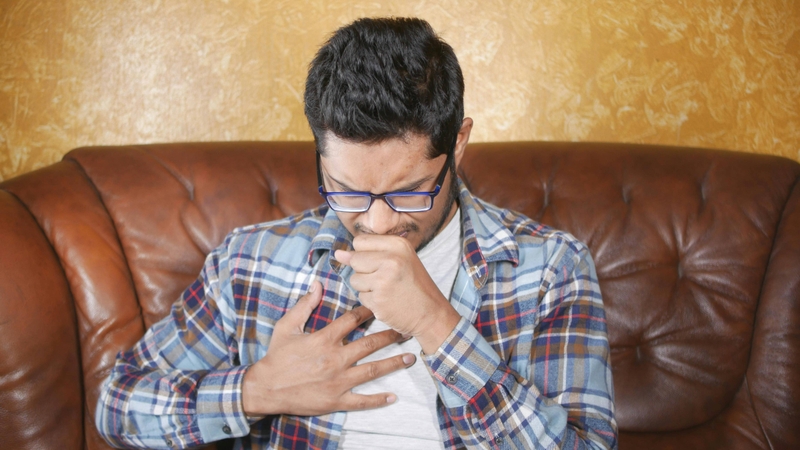 Lưỡi nhân được sử dụng để giải cảm, làm long đờm và giảm ho