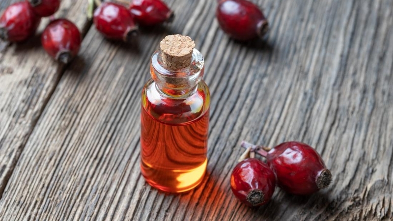 Cây máu chó có tác dụng gì? Các thành phần hóa học trong cây máu chó 2