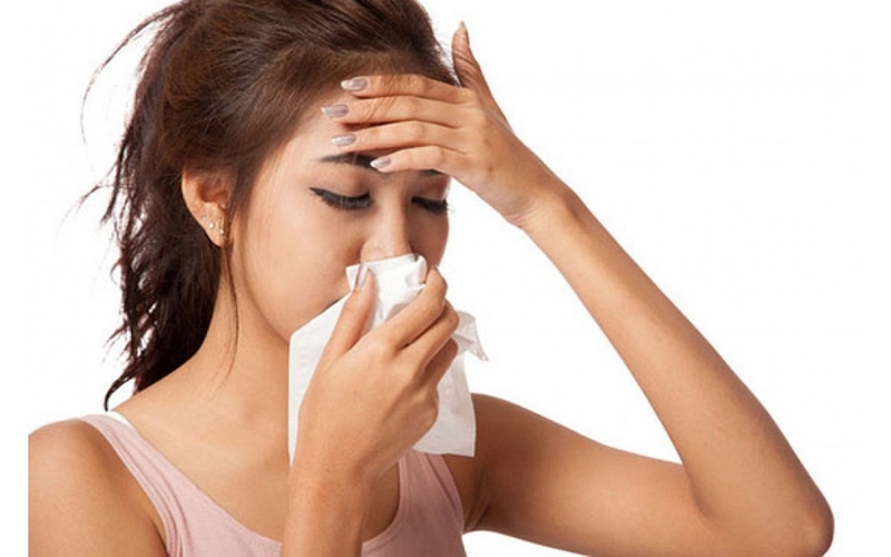 Hướng dẫn cách dùng cây ngà voi trị viêm xoang 2