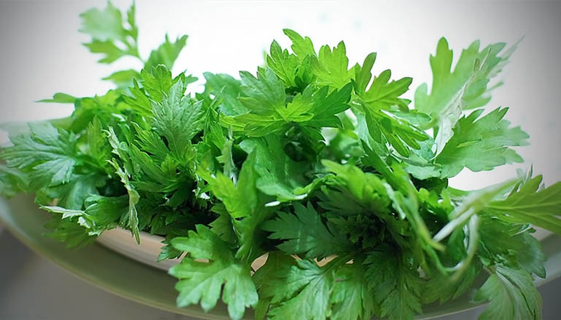 5-loai-thao-duoc-giup-cai-thien-chung-kinh-nguyet-khong-deu-hieu-qua