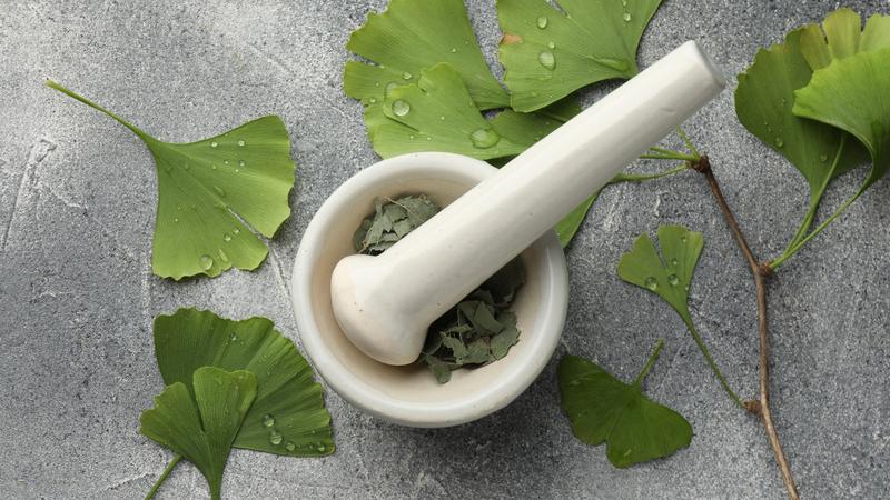 Một số tác động của Ginkgo biloba đối với chức năng nhận thức hiện vẫn đang được nghiên cứu