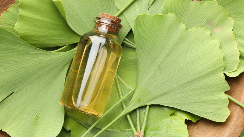 Nên chọn chiết xuất cây ngân hạnh đã được chuẩn hóa