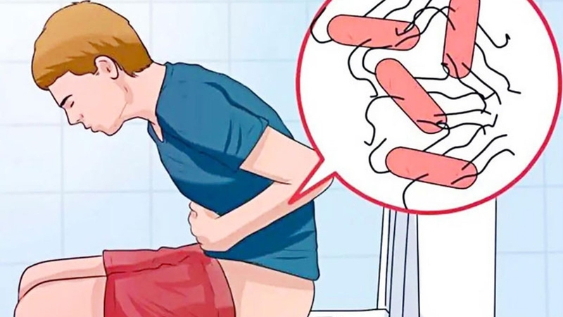 Cây nhội: Đặc điểm, công dụng và những bài thuốc hữu ích 4