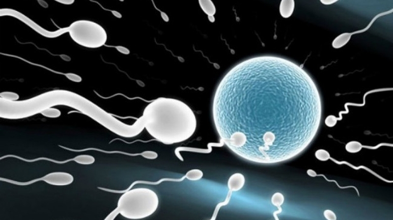 Cấy que tránh thai có được xuất vào trong không? Những điều bạn cần biết 3