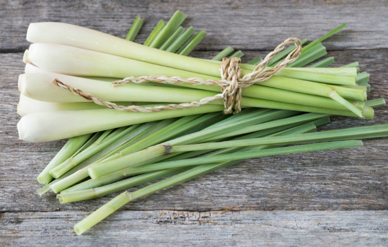 Cách làm chanh sả mật ong đúng chuẩn tại nhà 4