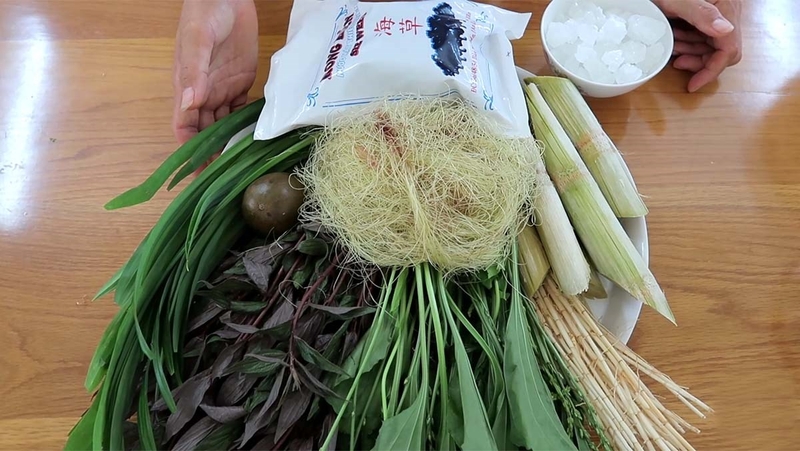 Cây thuốc dòi trị dạ dày có thật sự hiệu quả không? 4