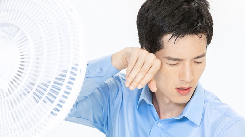 Gợi ý cây thuốc nam chữa bệnh ra mồ hôi nhiều 1