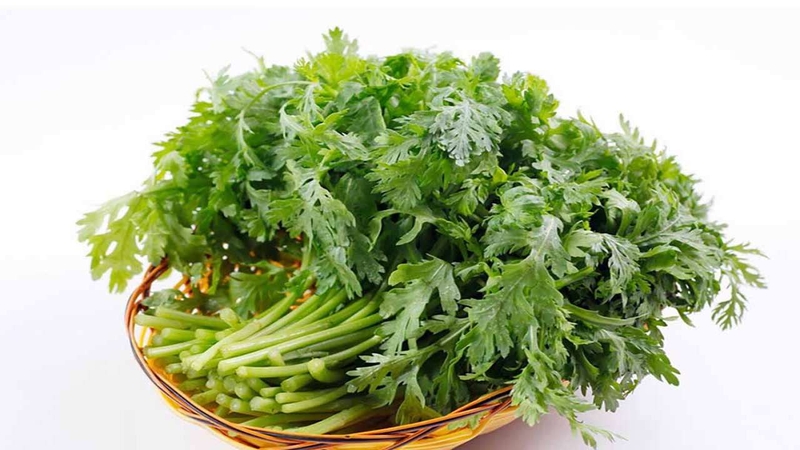 Cây thuốc nam chữa ho có đờm an toàn có thể làm ngay tại nhà 1