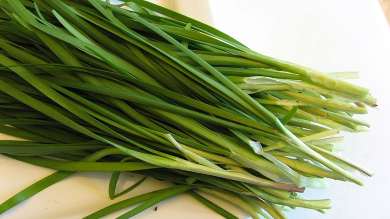 Cây thuốc nam chữa ho có đờm an toàn có thể làm ngay tại nhà 2