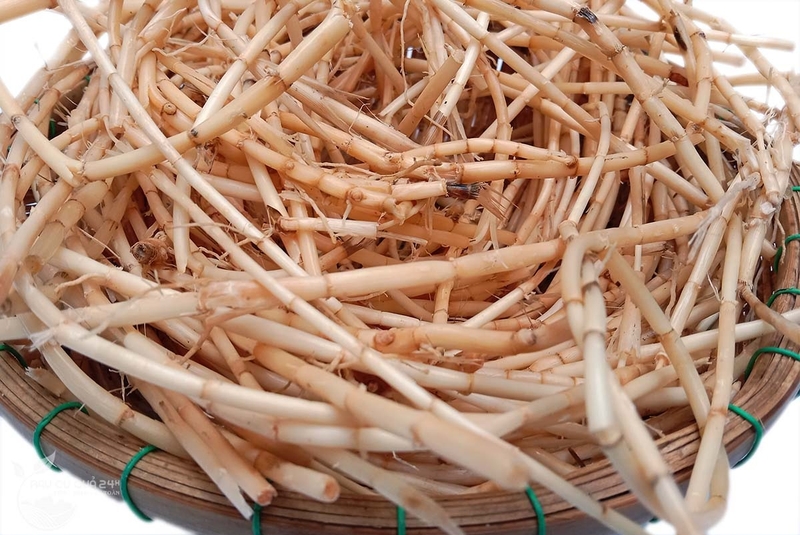 Cây thuốc trị sỏi thận hiệu quả 3