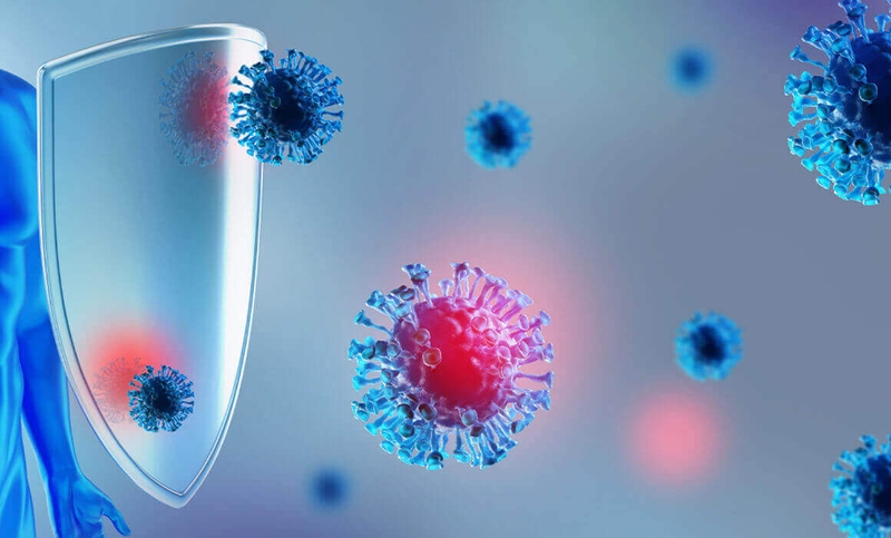 Chiết xuất từ thân, lá và rễ cây trái nổ có khả năng ức chế một số vi khuẩn