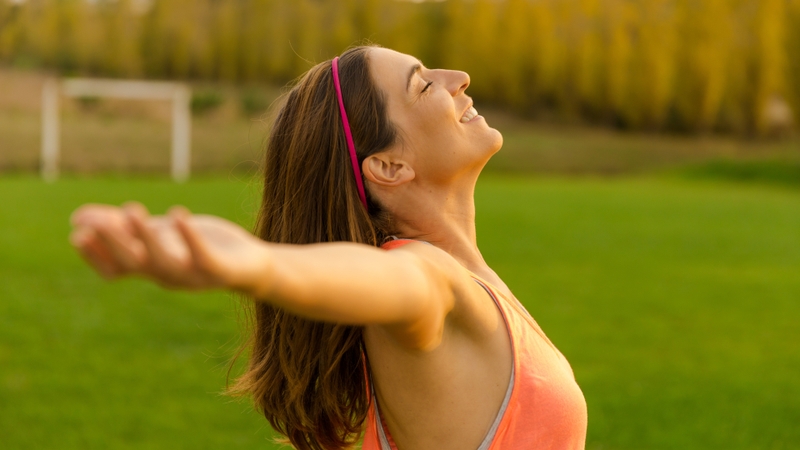 Cây trinh nữ hoàng cung và những tác dụng đối với sức khỏe 2