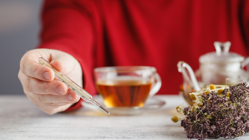Người đang dùng thuốc điều trị không nên dùng cây vòi voi