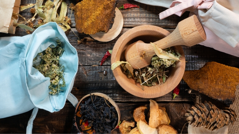 Cây vòi voi có uống được không? Lưu ý khi dùng cây vòi voi 2