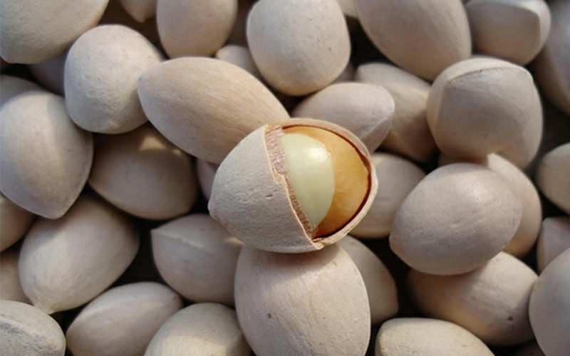 Cerelon chứa hoạt chất chiết xuất từ bạch quả