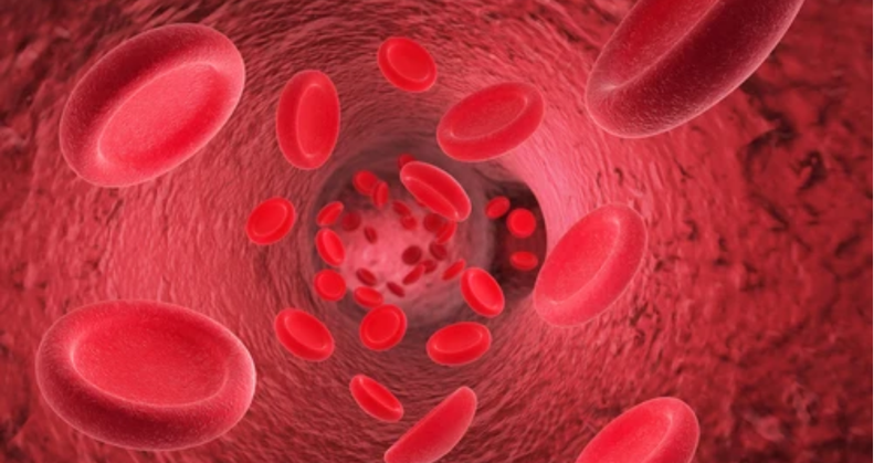 Châm cứu bấm huyệt mang lại lợi ích gì cho sức khỏe? 4