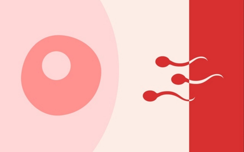 Chậm kinh bao lâu thì có thai? Dấu hiệu có tin mừng? 2