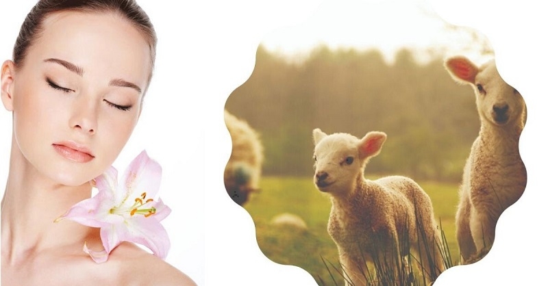 Viên uống làm đẹp da - chống oxy hóa Goodhealth Placenta 25000 60V 1