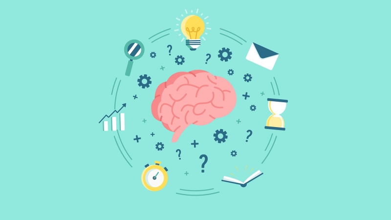 Chăm sóc não bộ tốt hơn với viên uống tăng tuần hoàn máu não Pikolin Ocavill hộp 30V 3