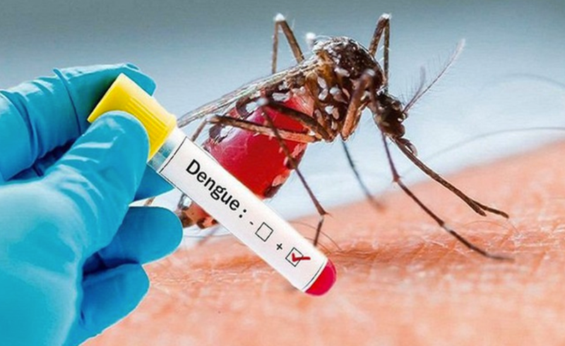Chẩn đoán sốt xuất huyết Dengue và điều trị bệnh