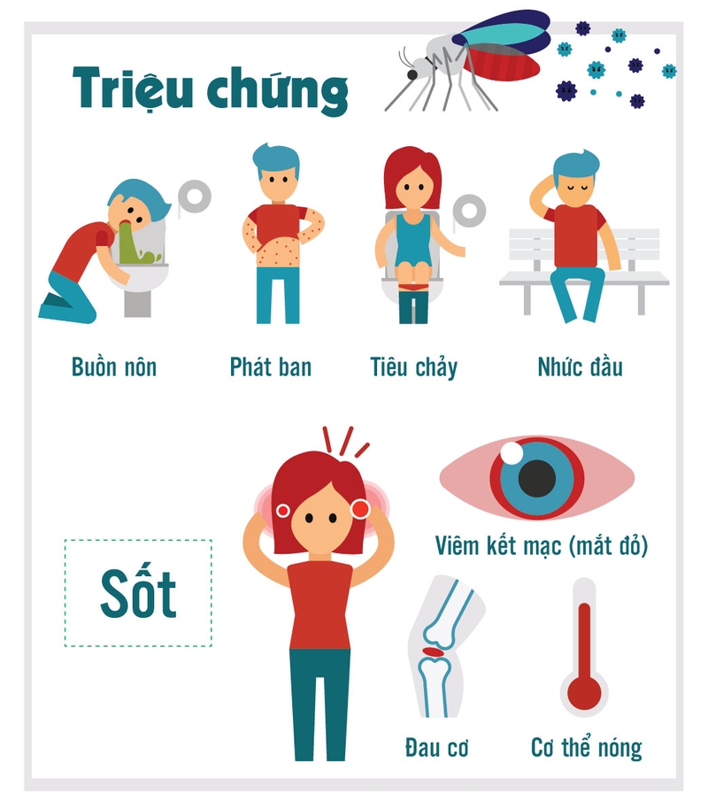 Chẩn đoán và điều trị sốt zika trong giai đoạn mang thai