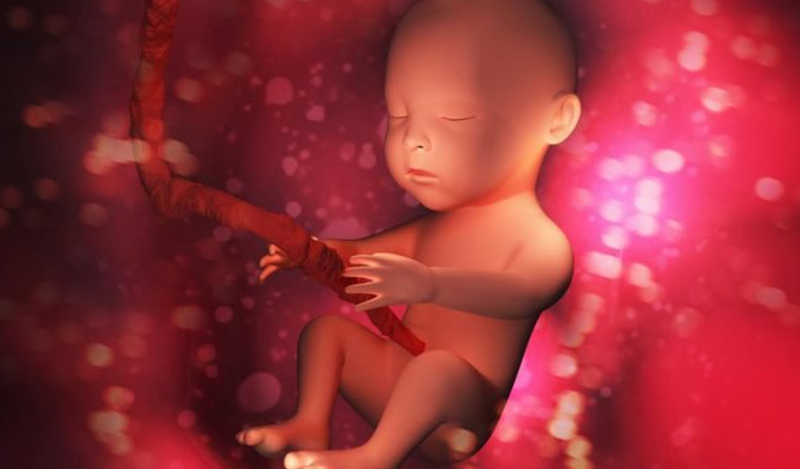 NF2 là bệnh di truyền