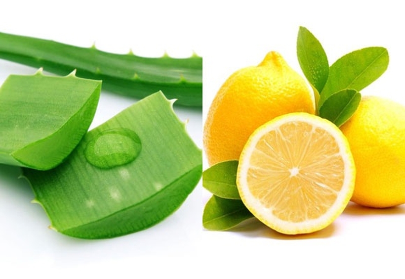 Trị gàu và rụng tóc bằng nha đam, bạn đã thử chưa? 2