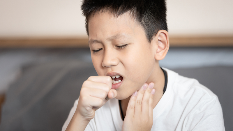 chanh-dao-ngam-mat-ong-giup-tri-benh-gi-loi-ich-cua-chanh-dao-ngam-mat-ong 3