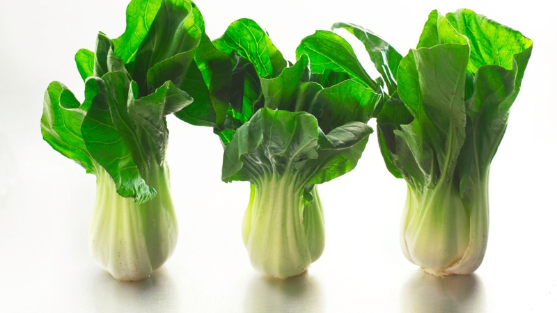 Rau cải thìa chứa nhiều vitamin K, canxi, sắt và chất chống oxy hóa