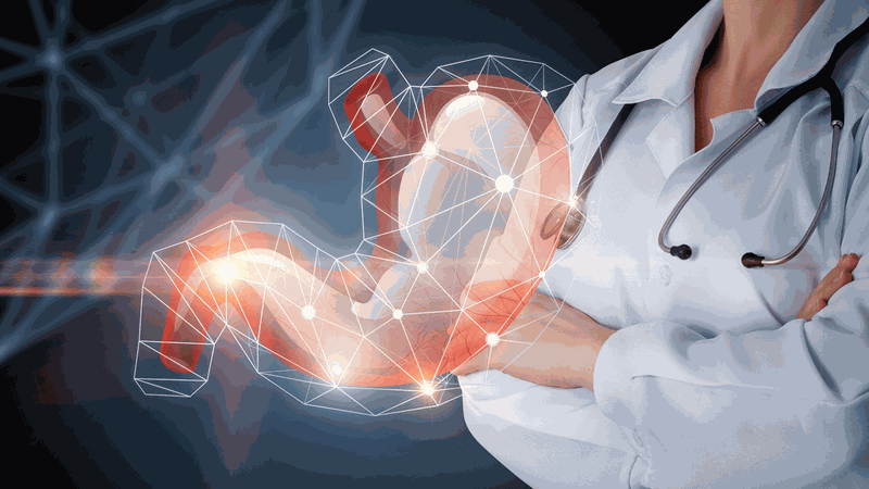 cháo cá hồi hạt sen có lợi ích gì 1