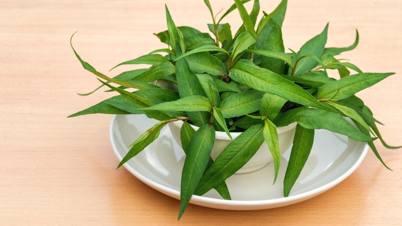 Cháo cá lóc cho bé: Bí quyết nấu ngon, giàu dinh dưỡng và an toàn cho trẻ ăn dặm 4