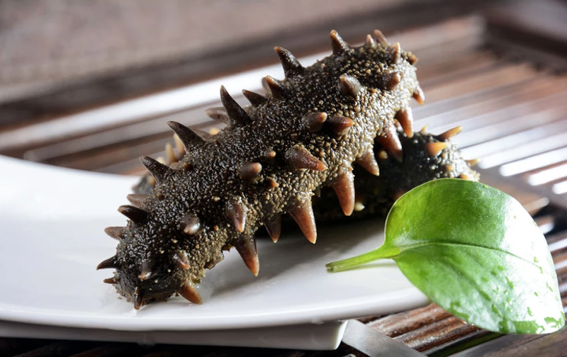 Cháo hải sâm có tác dụng gì cho bé? Cần lưu ý những gì khi cho bé ăn chúng? 1