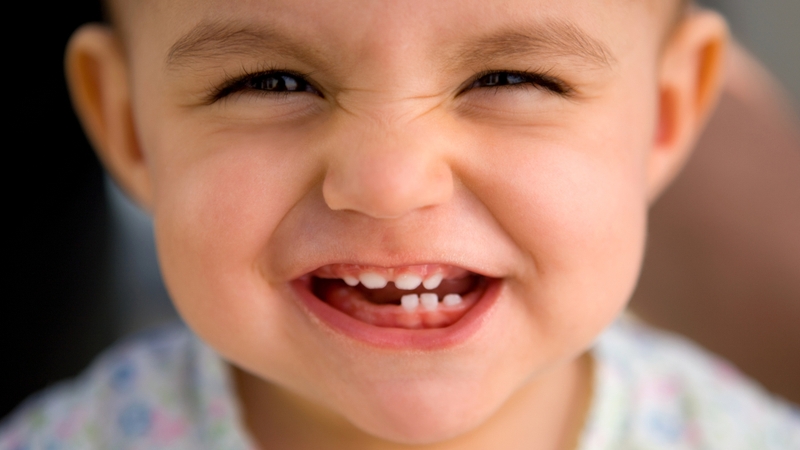 Hàm lượng canxi và photpho trong hạt sen đóng vai trò quan trọng trong việc xây dựng cấu trúc răng và duy trì độ chắc khỏe của men răng