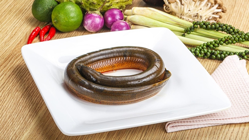 Chọn lươn tươi, làm sạch nhớt và nấu chín kỹ giúp cháo lươn thơm ngon, không tanh