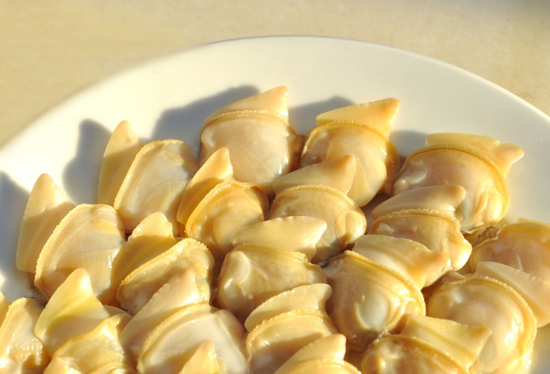 Thịt ngao có hàm lượng vitamin và khoáng chất lớn hỗ trợ bé phát triển toàn diện