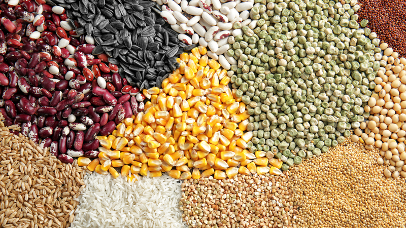 Cháo ngũ cốc: Món ăn dinh dưỡng tốt cho sức khỏe 2