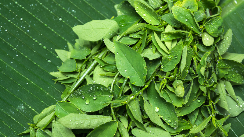 Cháo rau ngót có tác dụng gì? Gợi ý công thức nấu cháo rau ngót ngon 1