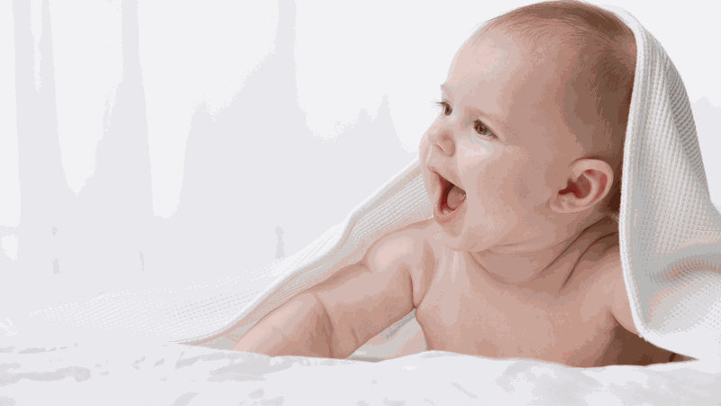 chao-tom-rau-ngot-4.pngdinh dưỡng từ món cháo tôm rau ngót 4