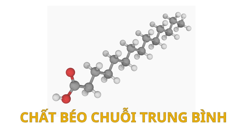 Tìm hiểu vai trò của chất béo chuỗi trung bình đối với cơ thể 1